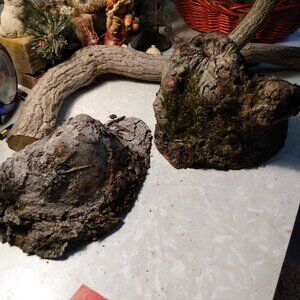 2 Unique Read Wood Tree Burls Stumps Fairy Garden Taxidermy Rustic Display